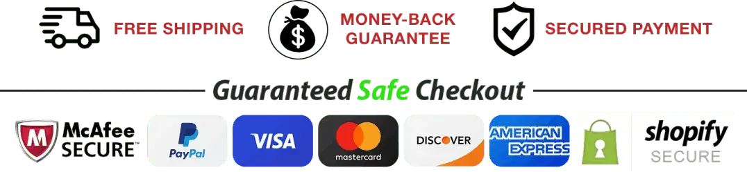Leanzene safe payment credit debit card